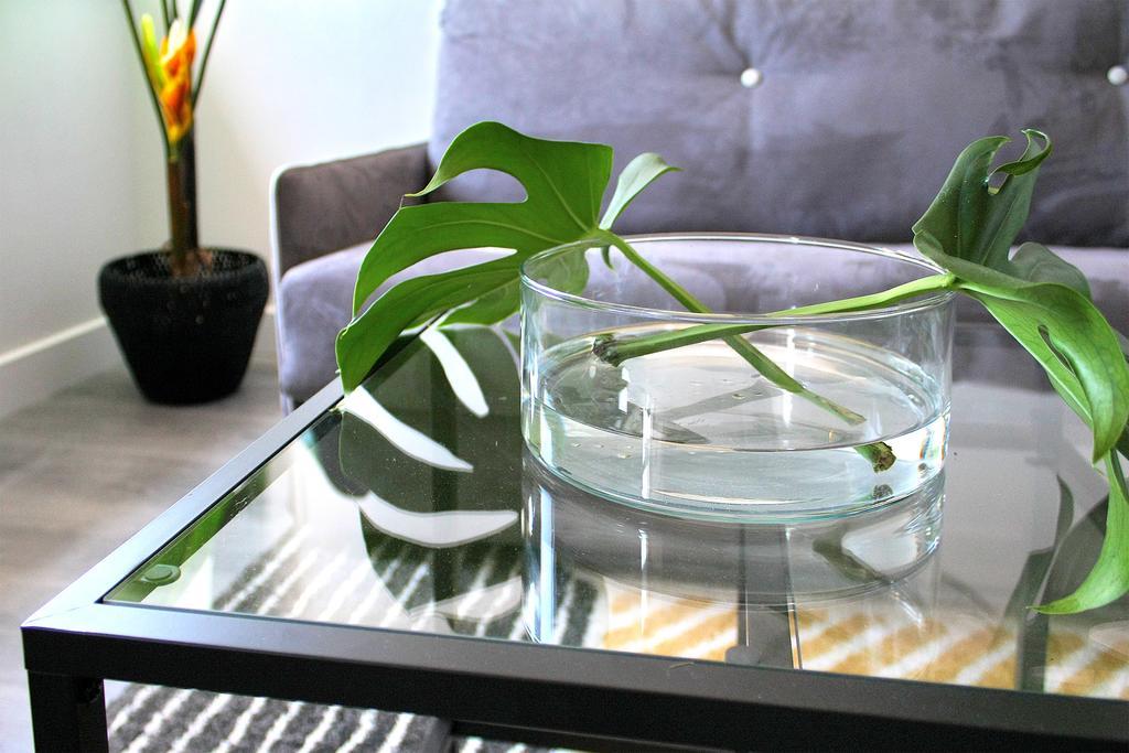 Iloftmalaga Studio Apartments Ngoại thất bức ảnh